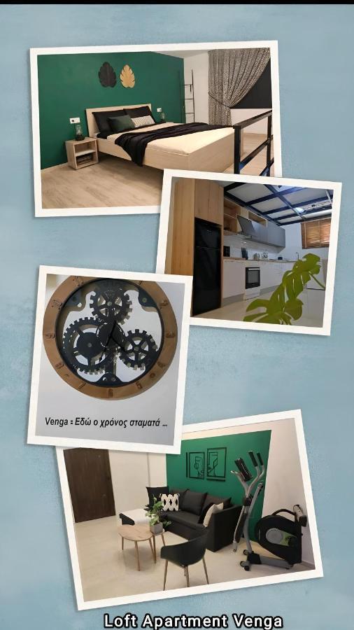 Loft Venga Apartment *